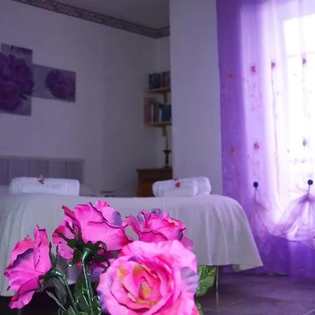 Bed & Breakfast Regina Elena 3*